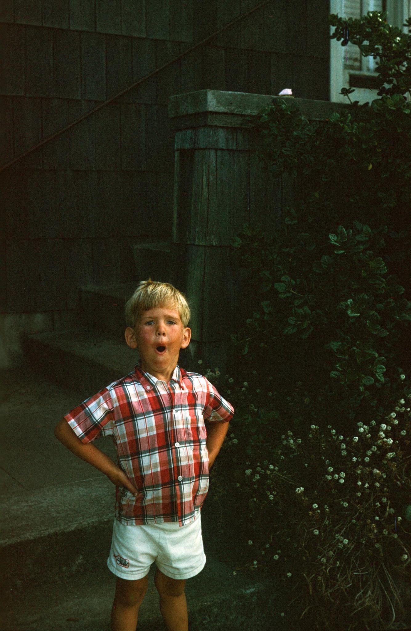 A young blond boy in a red plaid shirt, hands on his hips, caught mid-word